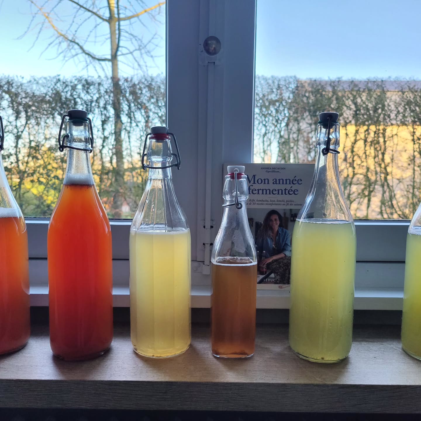 Example kombucha bottle and glass