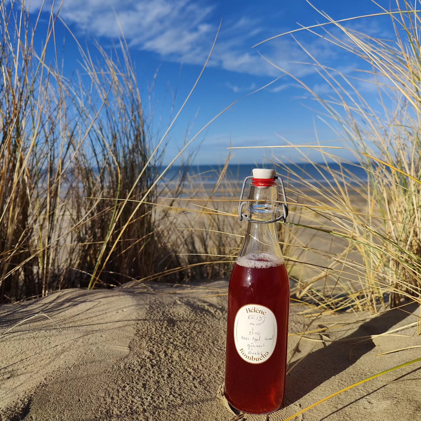 Example artisanal kombucha product shot